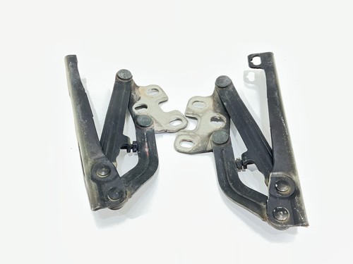 Cerniere cofano anteriore e - cofano,