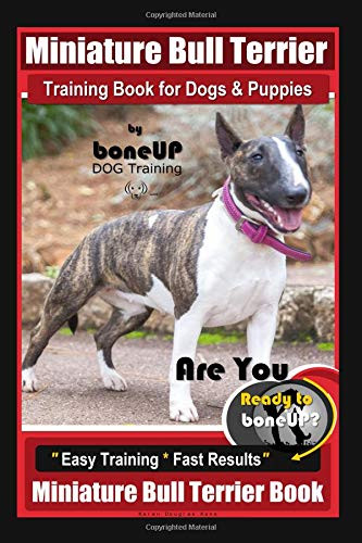 Miniature bull terrier - miniature,