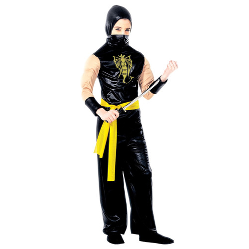 Costume vestito abito - costume,