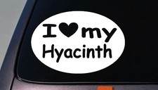 ADESIVO pappagallo ara i love