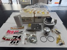 Kit cilindro Malossi d.47 +centralina Malossi Aprilia Scarabeo 50 Di-Tech’01/04