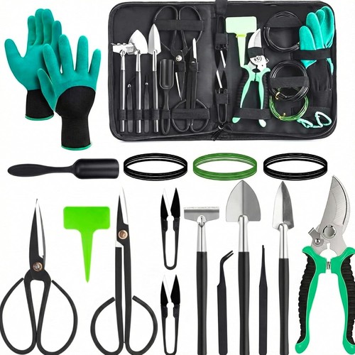 Kit bonsai per albero bonsai