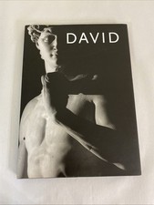 David: Michelangelo by Aurelio