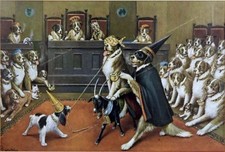 Cavalcando la Capra -