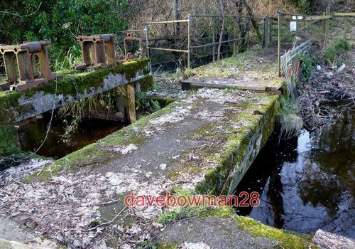 Photo start the skeldon - of,