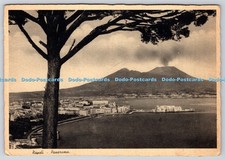 L355439 Napoli Panorama V