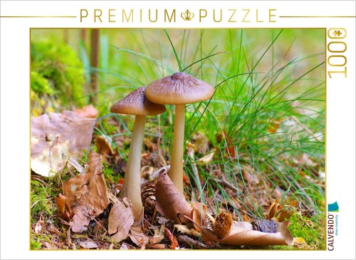 Calvendo puzzle rötlinge - rötlinge, |