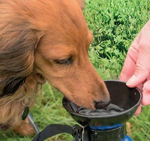 Aqua pet borraccia - per, cani