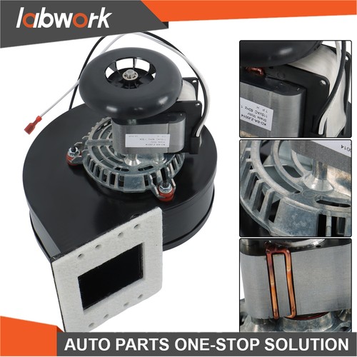 Labwork stufa usa 80472 - labwork,