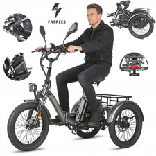 FAFREES F20 MATE 21Ah 750W