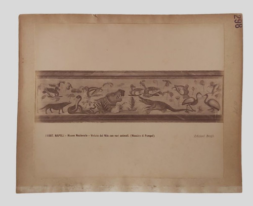 Foto albumina brogi - albumina, veduta