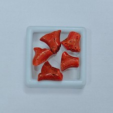 Ramo corallo rosso - ramo, naturale