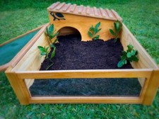 TERRARIO CASETTA CON LATO A