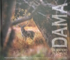 DAMA Un Sentiero in Comune