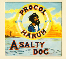 Procol Harum ~ A Salty Dog