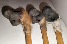 RARISSIMO TRIO PIPE AFRICA NON