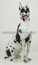 CANE ALANO ARLECCHINO GIGANTE