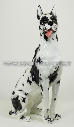Cane alano arlecchino gigante - cane,