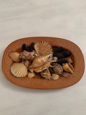 VASSOIO CON CONCHIGLIE IN