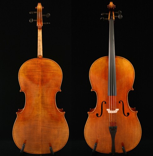 Violoncello pro level 4 - violoncello,