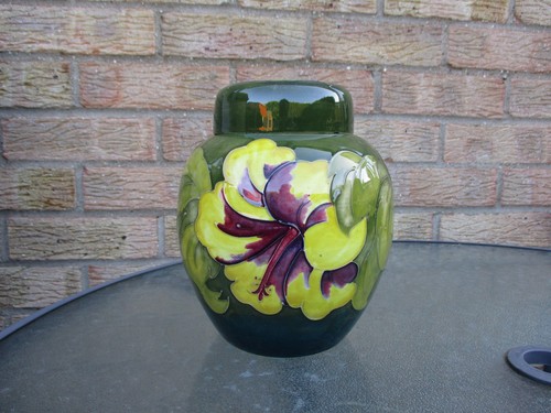 Moorcroft grande ibisco - , su