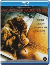 La chute du faucon noir