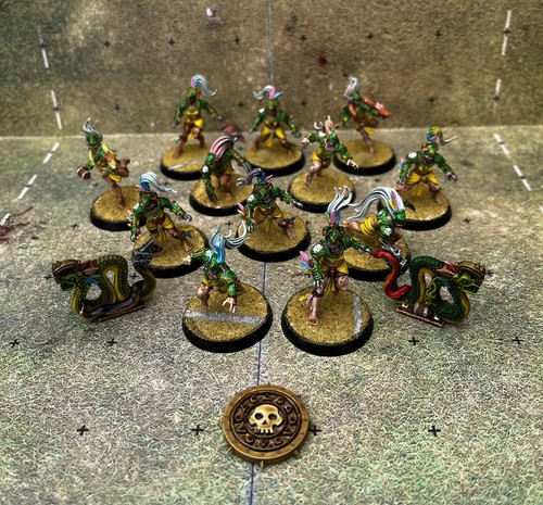Amazon blood bowl team dipinto - amazon,