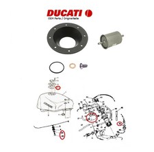 Guarnizione Filtro Benzina