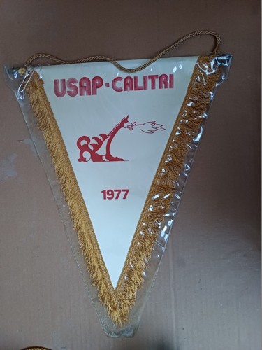Gagliardetto pennant originale - gagliardetto,