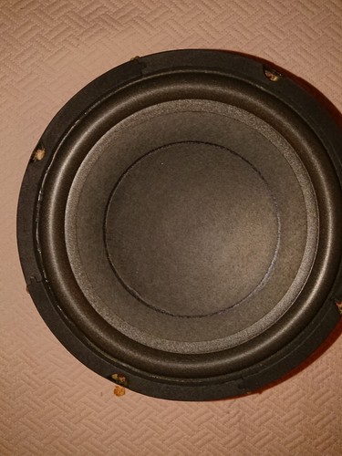 Woofer per subwoofer - woofer, 20