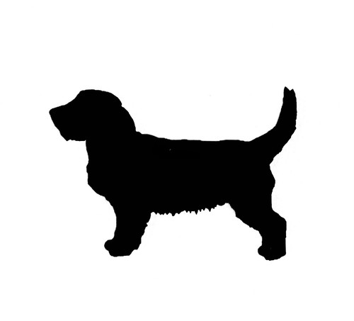 Basset fauve bretagne dog - basset,