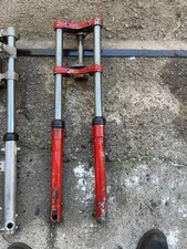 FORCELLA MARZOCCHI D.34