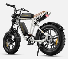 ENGWE M20 Bicicletta Elettrica