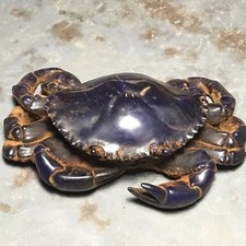 Statua scultura granchio