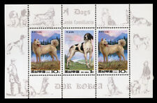 KOREAN JINDO POINTER ENGLISH DOG POSTAGE STAMP MINI SHEET - KOREA - 1994 "Mint"