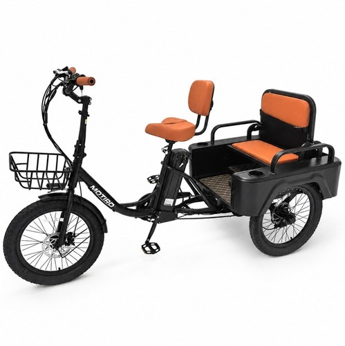 Triciclo elettrico pieghevole