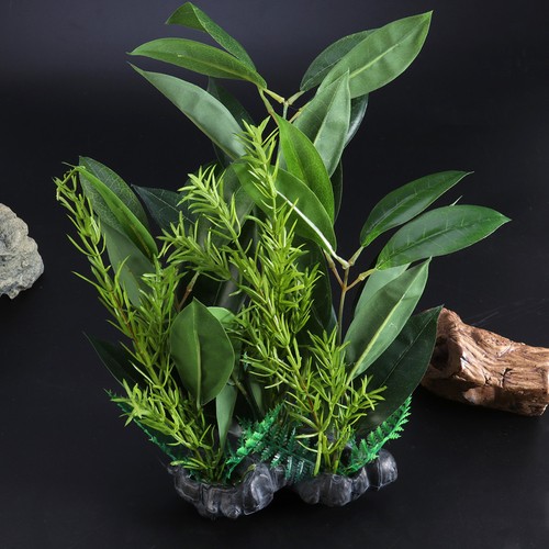 Decorazione acquario erba - decorazione,