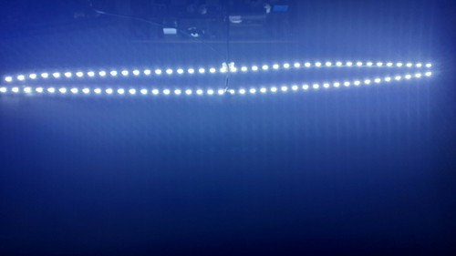Strisce led v8n4 550m0 - strisce, v8n4-550m0-r1