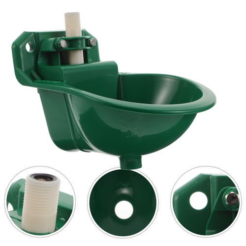 Sheep goat water - sheep, bowl