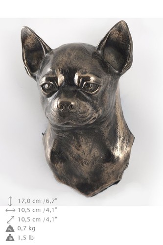 Chihuahua dai capelli - lisci,
