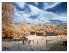 Fotocamera mirrorless