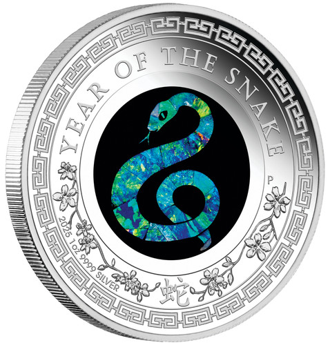 Moneta dollaro 2025 - da,
