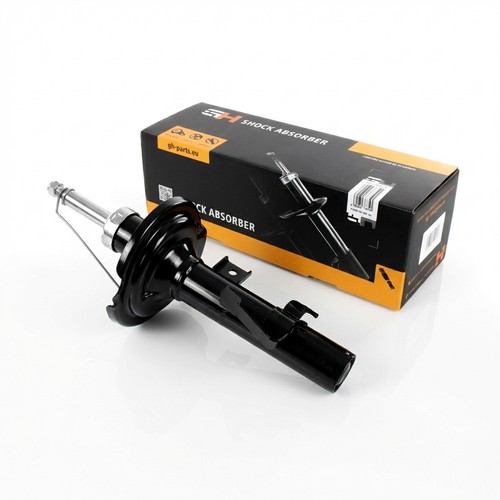 Ammortizzatore gas - ammortizzatore, a