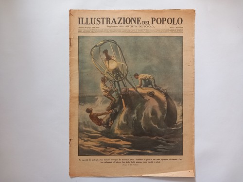 Illustrazione del popolo - illustrazione,