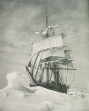Stampa artistica Terra Nova