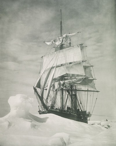Stampa artistica terra nova - stampa,