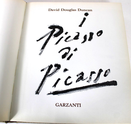 Picasso david - picasso,