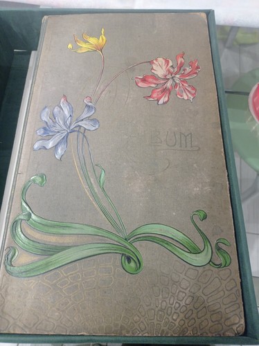 Album inizio secolo cartoline - album,