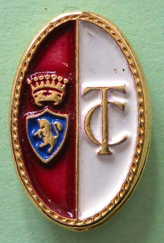 Distintivo spilla pin badge - distintivo,