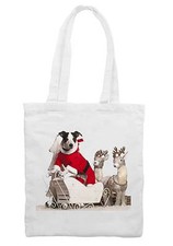 JACK RUSSELL TERRIER CANE